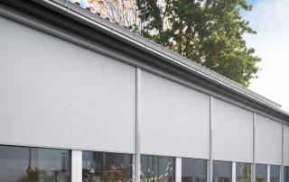 Store vertical